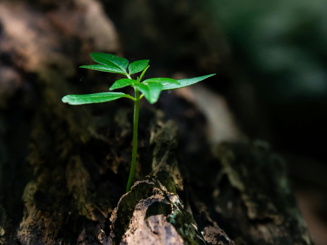 Training voor o.a. BIM-coördinator, BIM-regisseur, BIM-manager